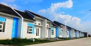 Program Subsidi Pemerintah