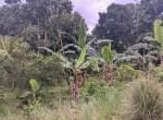 Tanah-Kebun-Jalan-Pal IX-Sungai-Kakap-Kubu Raya-Pontianak (3)