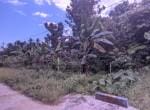 Tanah-Kebun-Jalan-Pal IX-Sungai-Kakap-Kubu Raya-Pontianak (4)